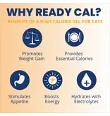 Under the Weather Under The Weather Cat Ready Cal Gel with Electrolytes 3.5 Oz