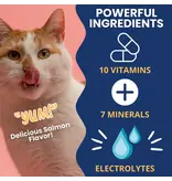 Under the Weather Under The Weather Cat Ready Cal Gel with Electrolytes 3.5 Oz