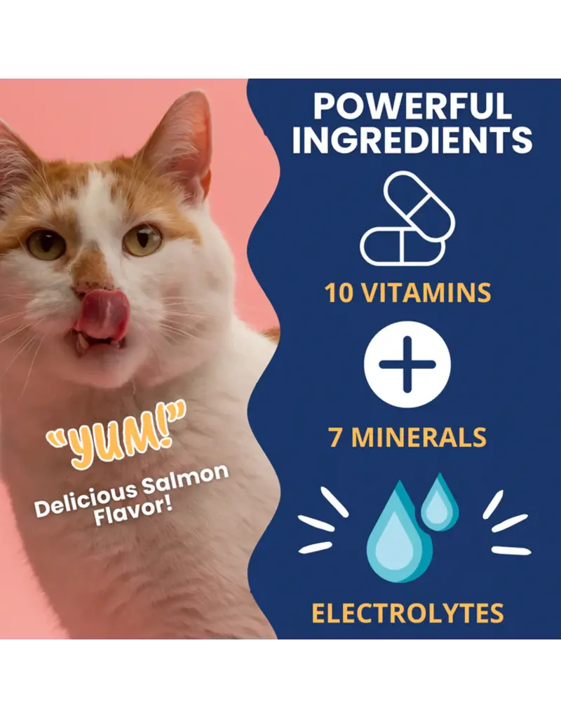 Under the Weather Under The Weather Cat Ready Cal Gel with Electrolytes 3.5 Oz