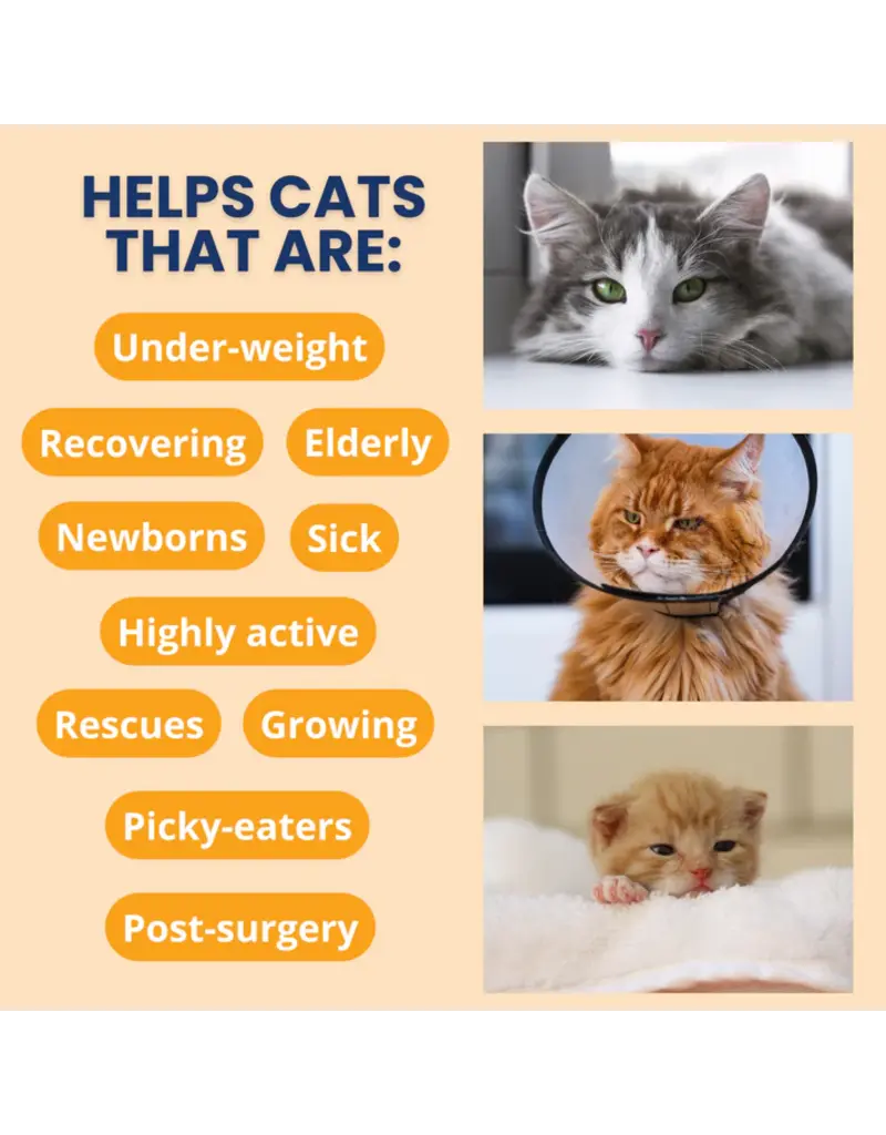 Under the Weather Under The Weather Cat Ready Cal Gel with Electrolytes 3.5 Oz