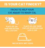 Under the Weather Under The Weather Cat Ready Cal Gel with Electrolytes 3.5 Oz