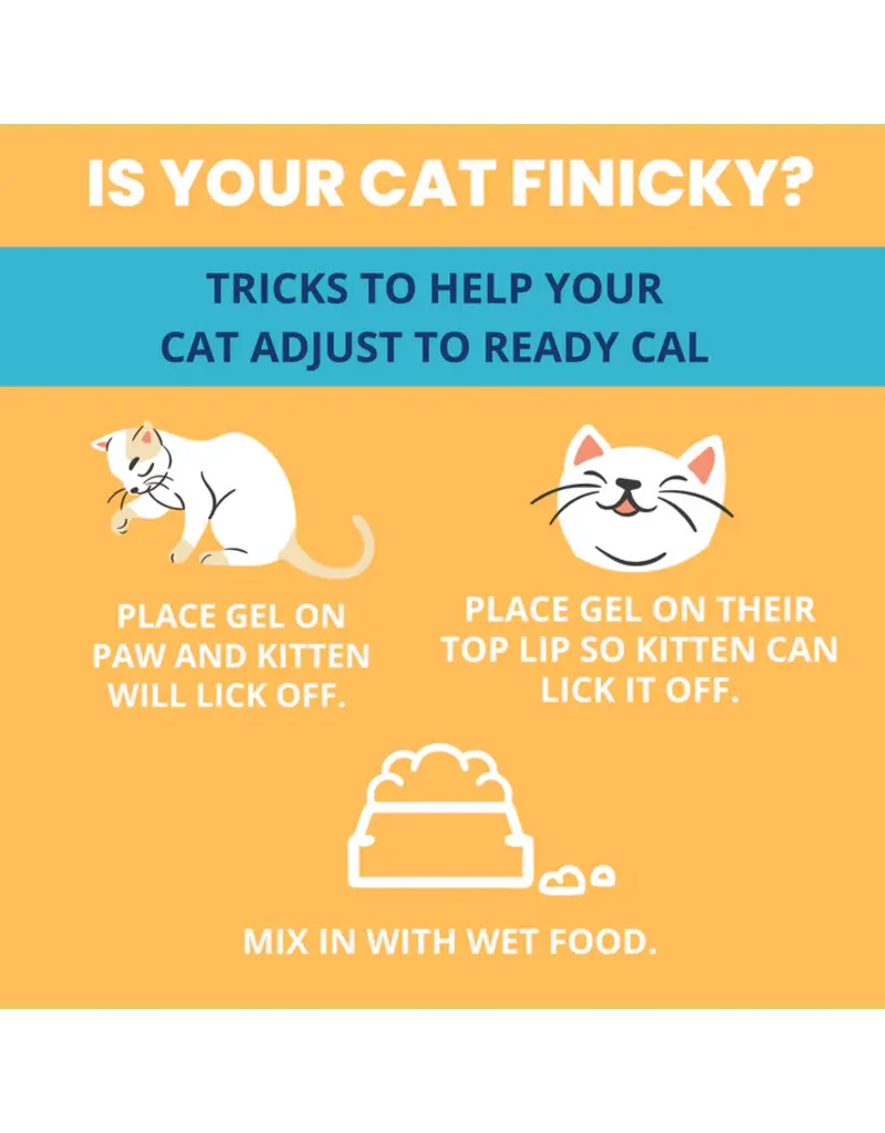 Under the Weather Under The Weather Cat Ready Cal Gel with Electrolytes 3.5 Oz