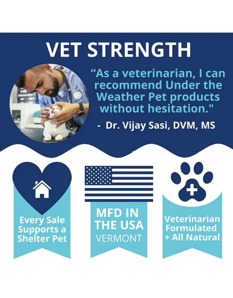 Under the Weather Under The Weather Cat Ready Cal Gel with Electrolytes 3.5 Oz