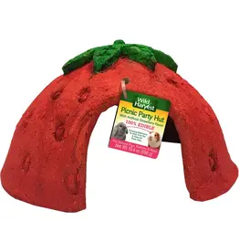 Spectrum Wild Harvest Picnic Party Strawberry Hut