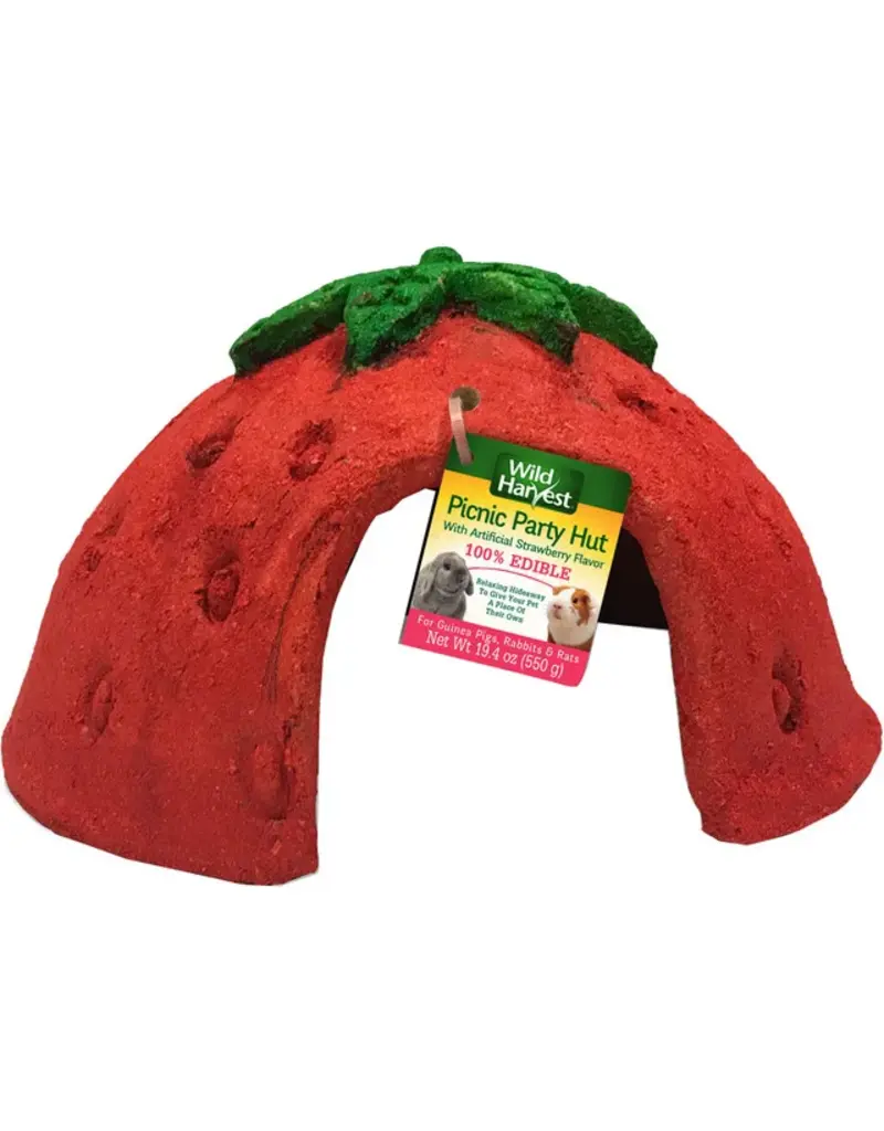 Spectrum Wild Harvest Picnic Party Strawberry Hut