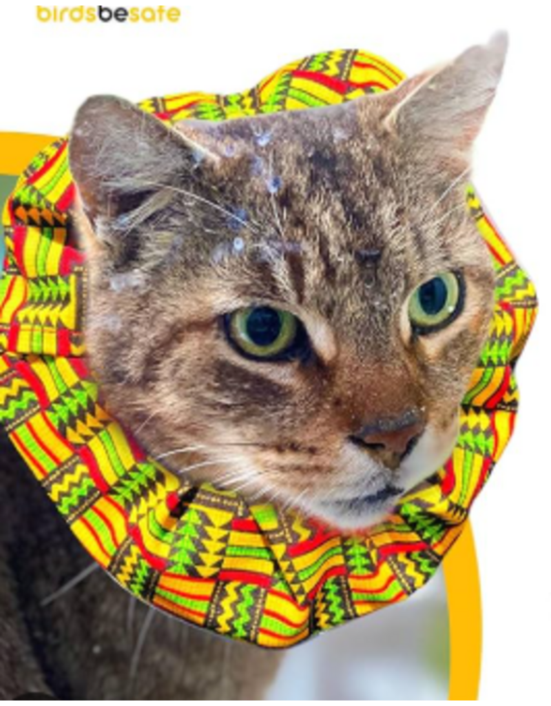 Birdsbesafe Birdsbesafe Cat Collar Cover