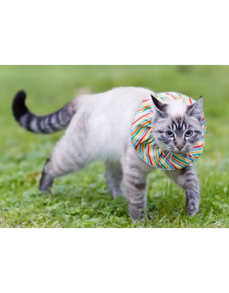 Birdsbesafe Birdsbesafe Cat Collar Cover