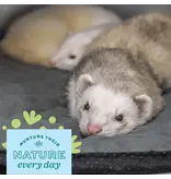 Oxbow Oxbow Enriched Life Washable Floor Mat for Small Animals 24 x 47 In