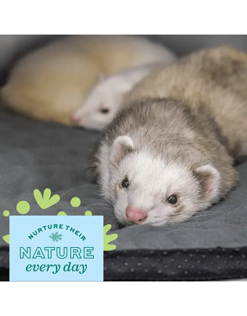 Oxbow Oxbow Enriched Life Washable Floor Mat for Small Animals 24 x 47 In