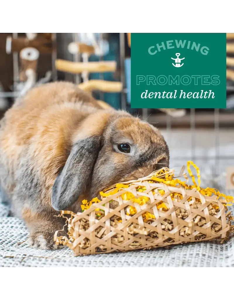 Oxbow Oxbow Enriched Life Celebration Party Pack Toys