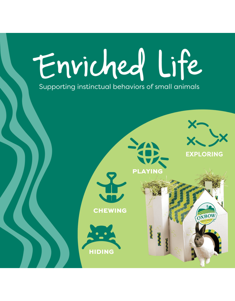 Oxbow Oxbow Enriched Life Celebration Party Pack Toys