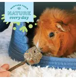 Oxbow Oxbow Enriched Life Celebration Party Pack Toys