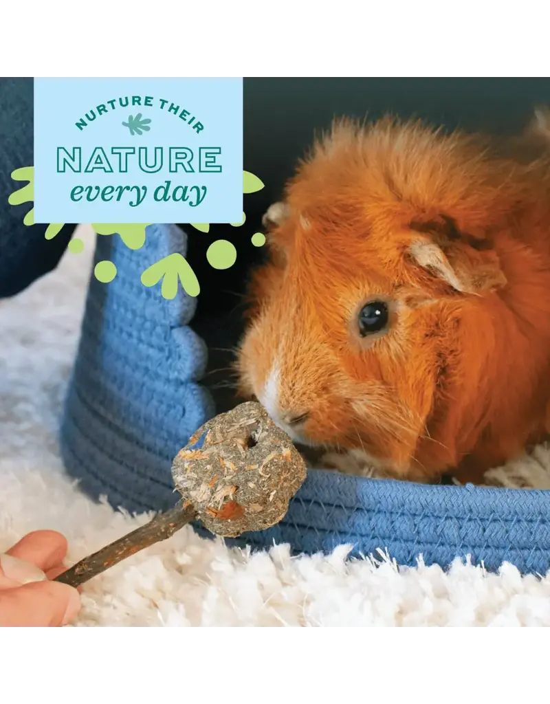 Oxbow Oxbow Enriched Life Celebration Party Pack Toys