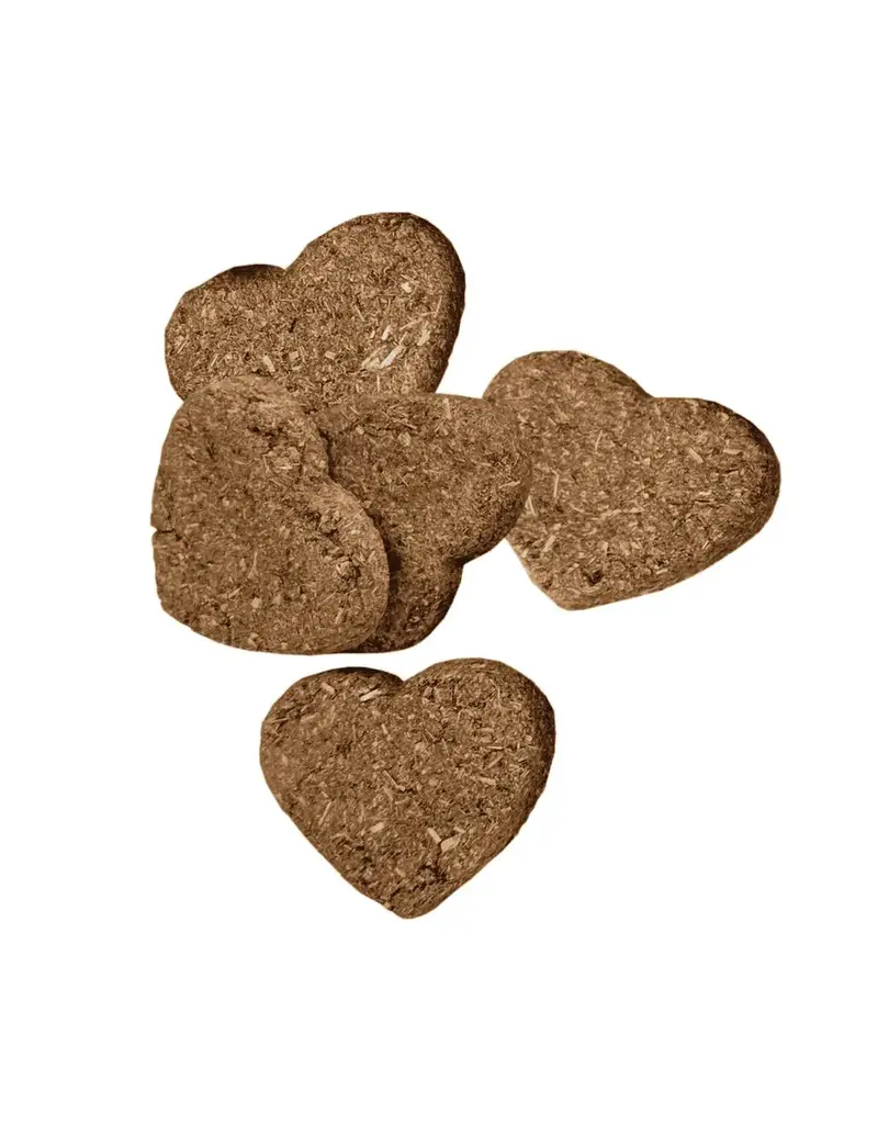 Oxbow Oxbow Organic Barley Biscuits  2.65oz