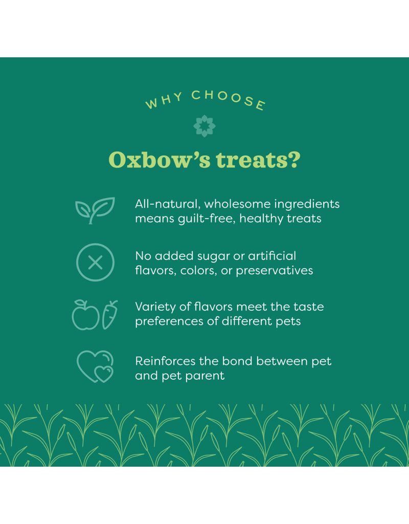 Oxbow Oxbow Organic Barley Biscuits  2.65oz