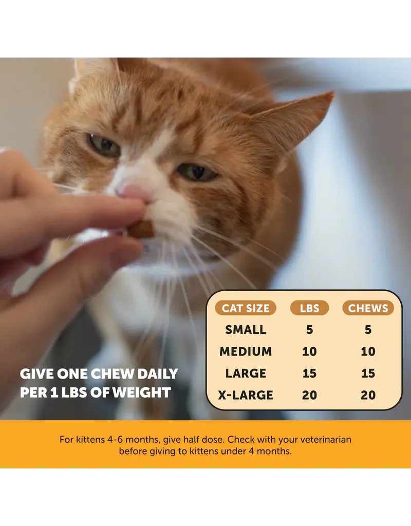 PET HONESTY LLC Pet Honesty Immune Support Lysine Cat Chew 3.7 Oz