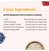 Pet Honesty Pet Honesty Immune Support Lysine Cat Chew 3.7 Oz