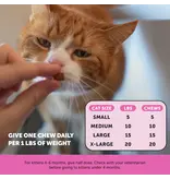 PET HONESTY LLC Pet Honesty Multivitamin Immune Health Cat Chew 3.7 Oz