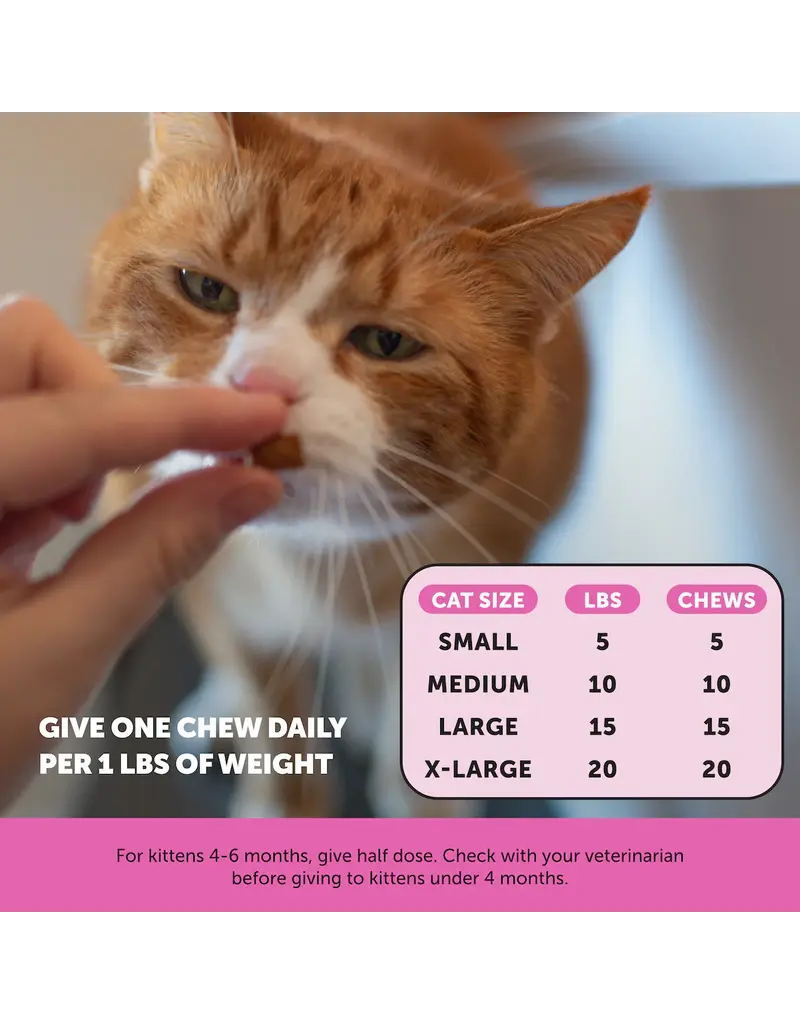 PET HONESTY LLC Pet Honesty Multivitamin Immune Health Cat Chew 3.7 Oz