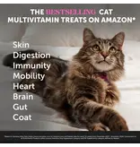 PET HONESTY LLC Pet Honesty Multivitamin Immune Health Cat Chew 3.7 Oz