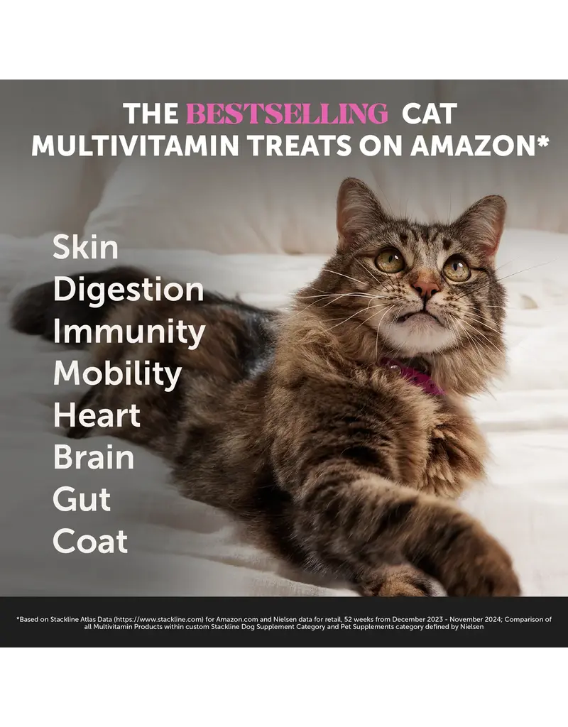 PET HONESTY LLC Pet Honesty Multivitamin Immune Health Cat Chew 3.7 Oz