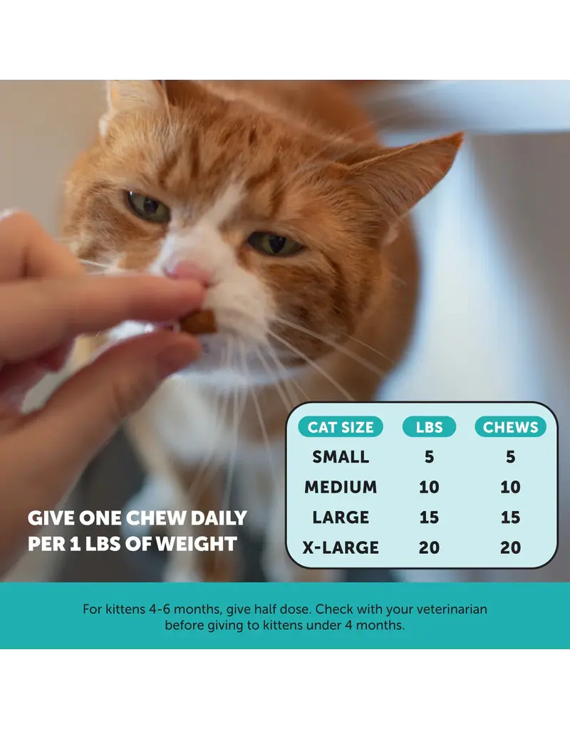 Pet Honesty Pet Honesty Calming Supplement Cat Chew 3.7 Oz