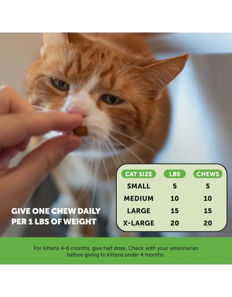 PET HONESTY LLC Pet Honesty Hairball Support Cat Chew 3.7 Oz