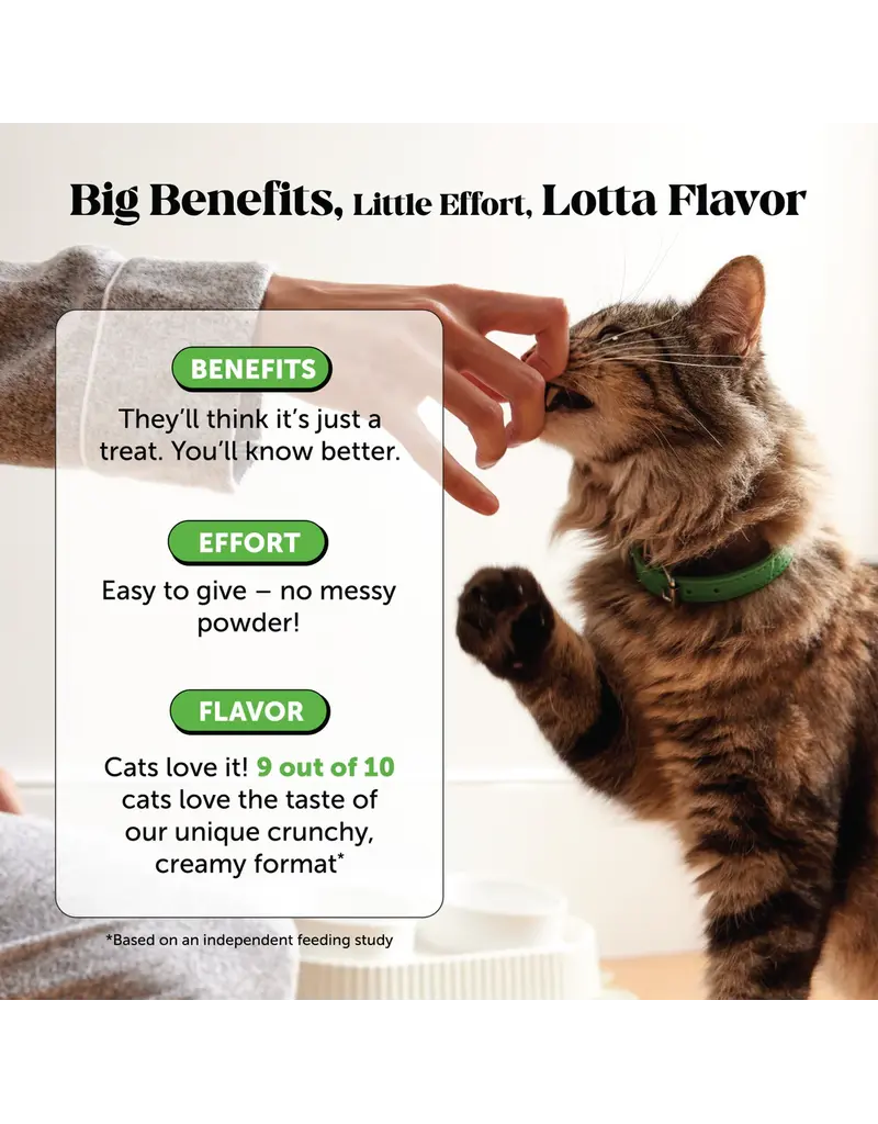 PET HONESTY LLC Pet Honesty Hairball Support Cat Chew 3.7 Oz