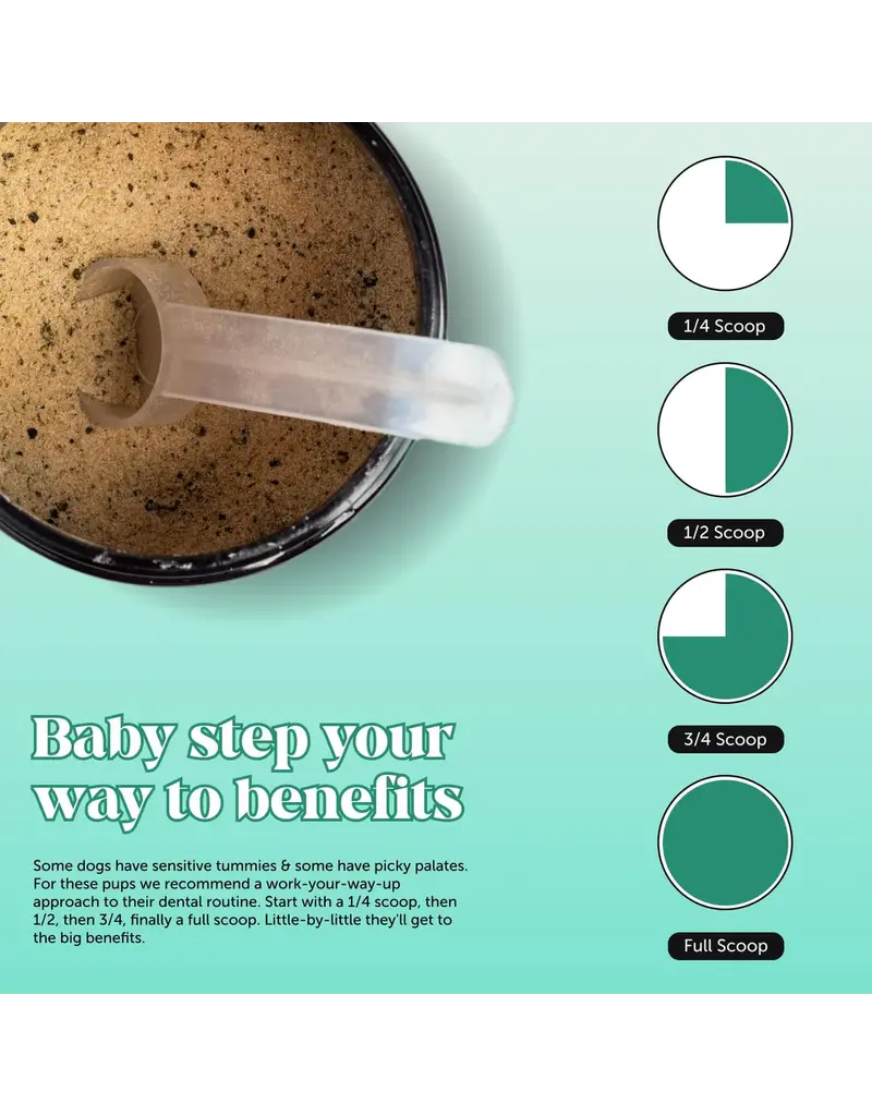 Pet Honesty Pet Honesty Fresh Breath Dental Powder for Dogs 3.7 Oz