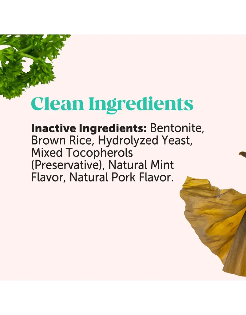 Pet Honesty Pet Honesty Fresh Breath Dental Powder for Dogs 3.7 Oz