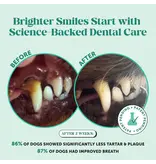 PET HONESTY LLC Pet Honesty Fresh Breath Dental Powder for Dogs 3.7 Oz