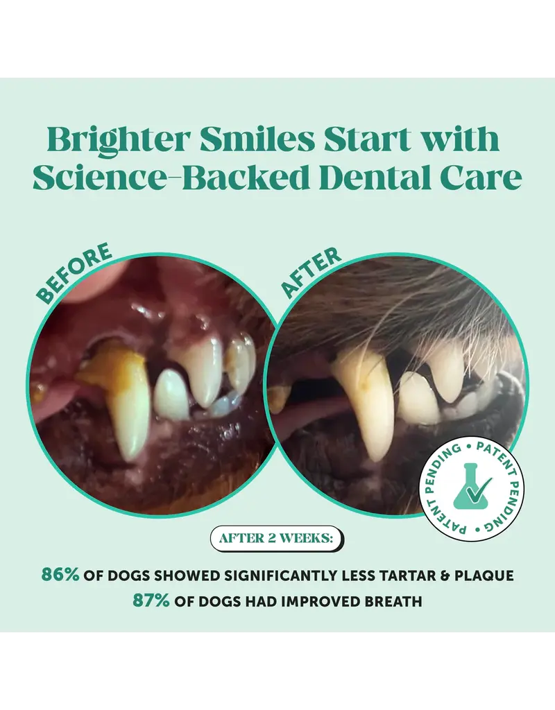 PET HONESTY LLC Pet Honesty Fresh Breath Dental Powder for Dogs 3.7 Oz