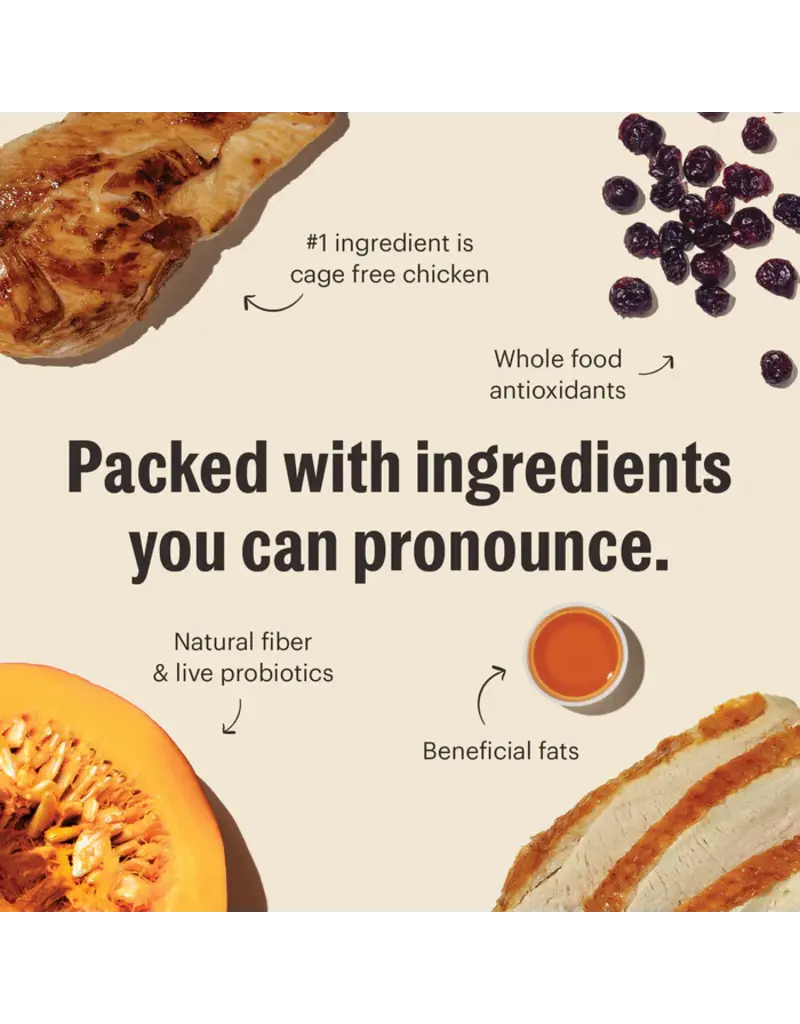 Honest Kitchen Honest Kitchen Whole Food Clusters Grain Free Turkey & Chicken Dry Cat Food