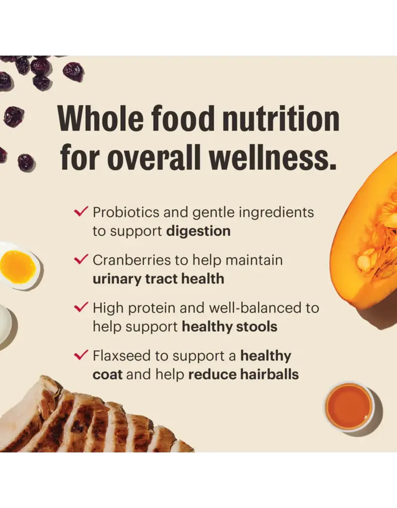 Honest Kitchen Honest Kitchen Whole Food Clusters Grain Free Turkey & Chicken Dry Cat Food