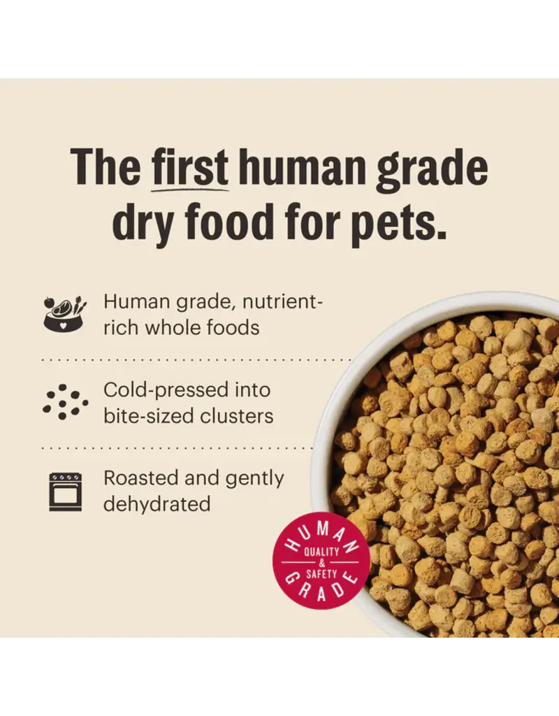 Honest Kitchen Honest Kitchen Whole Food Clusters Grain Free Turkey & Chicken Dry Cat Food