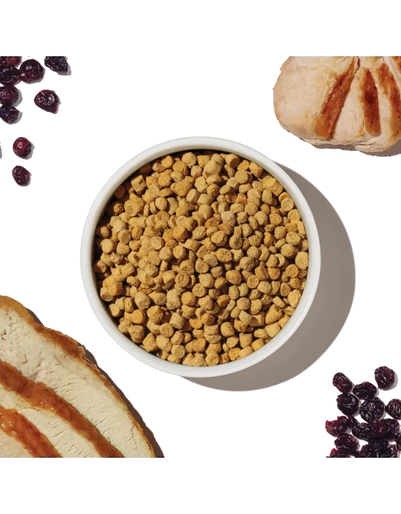 Honest Kitchen Honest Kitchen Whole Food Clusters Grain Free Turkey & Chicken Dry Cat Food