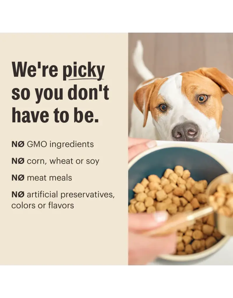 Honest Kitchen Honest Kitchen Whole Food Clusters Grain Free Chicken Dog Food