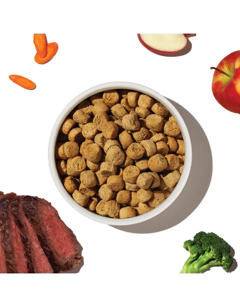 Honest Kitchen Honest Kitchen Whole Food Clusters Grain Free Beef Dog Food