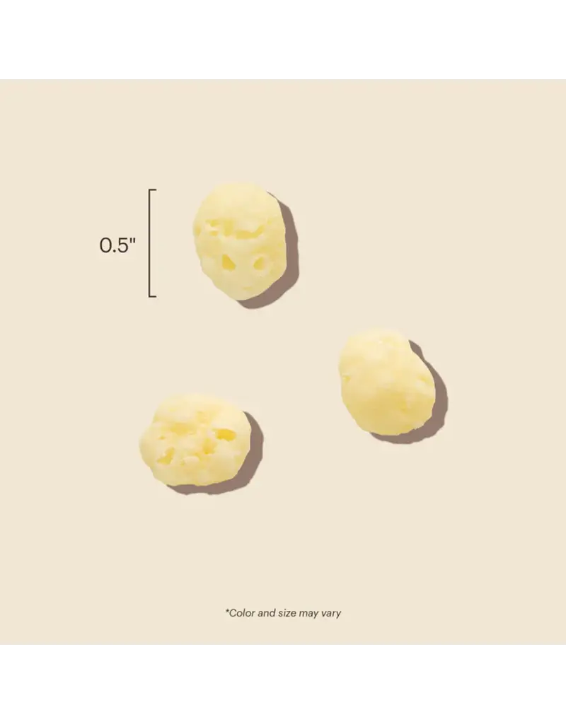 Honest Kitchen Honest Kitchen Dog Treats Crunchy Bits Gouda 2 Oz