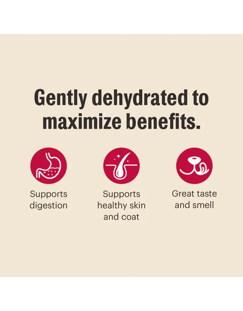 Honest Kitchen Honest Kitchen Wholemade Whole Grain Turkey Dehydrated Dog Food