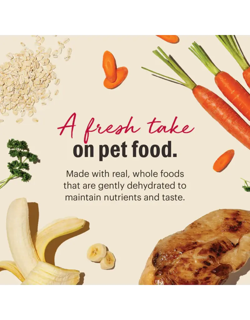 Honest Kitchen Honest Kitchen Wholemade Whole Grain Chicken Dehydrated Dog Food