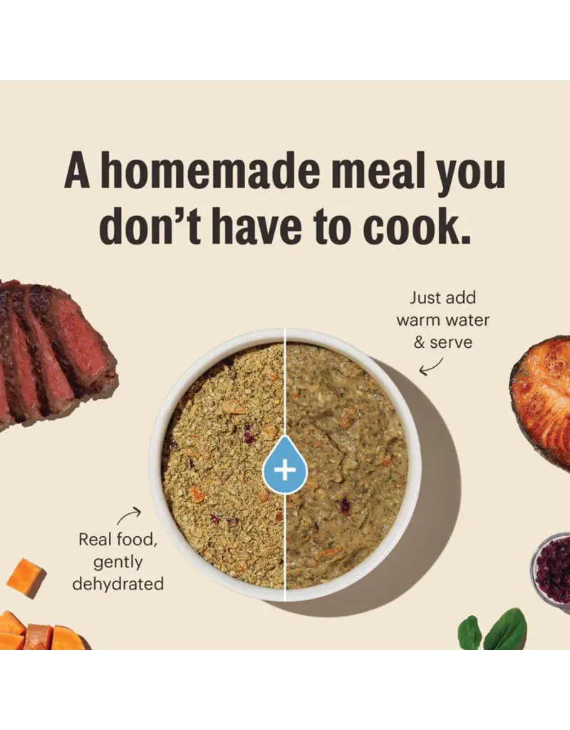 Honest Kitchen Honest Kitchen Wholemade Whole Grain Beef Dehydrated Dog Food