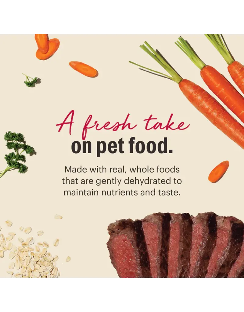 Honest Kitchen Honest Kitchen Wholemade Whole Grain Beef Dehydrated Dog Food