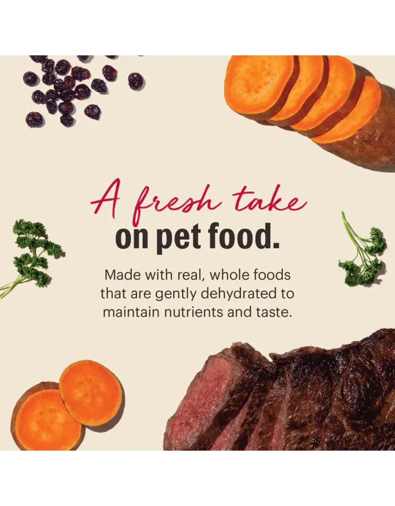 Honest Kitchen Honest Kitchen Wholemade Grain Free Beef Dehydrated Dog Food