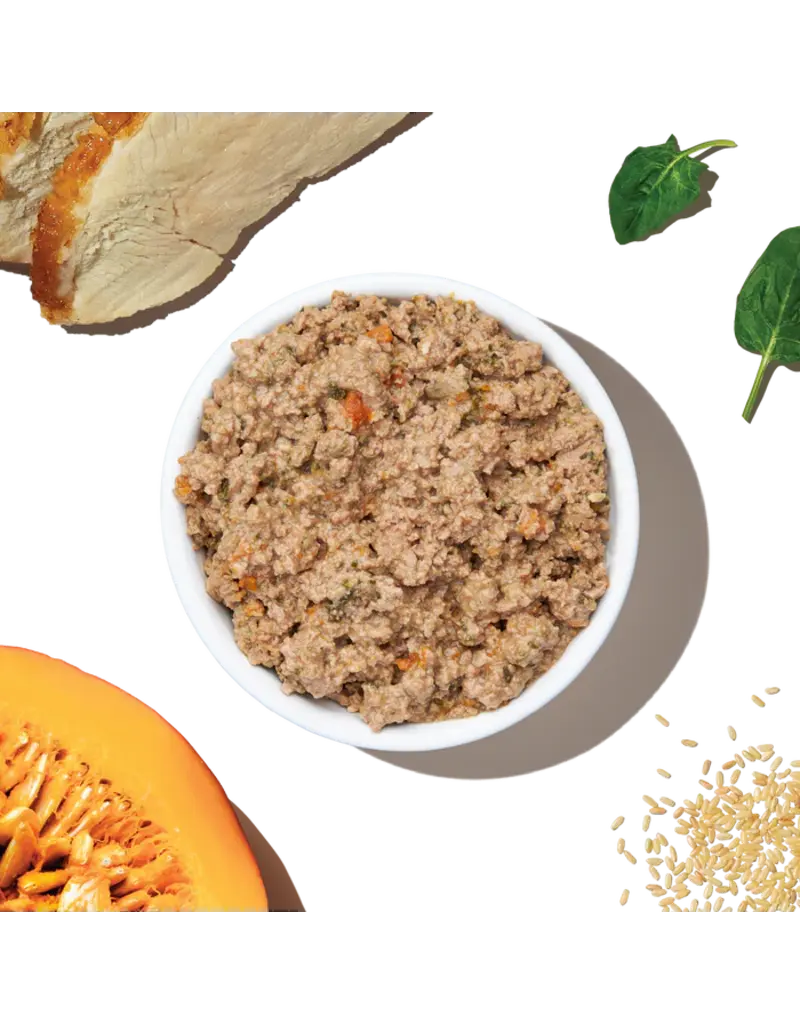 Honest Kitchen Honest Kitchen Butcher Block Pate Turkey & Veggies 10.5 oz Carton