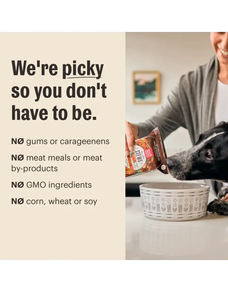 Honest Kitchen Honest Kitchen Butcher Block Pate Turkey & Veggies 10.5 oz Carton