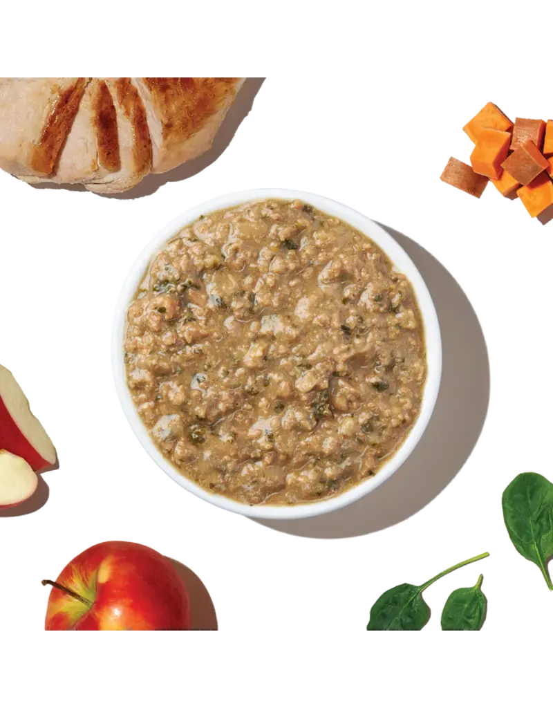 Honest Kitchen Honest Kitchen One Pot Stews Slow Cooked Chicken 10.5 oz Carton