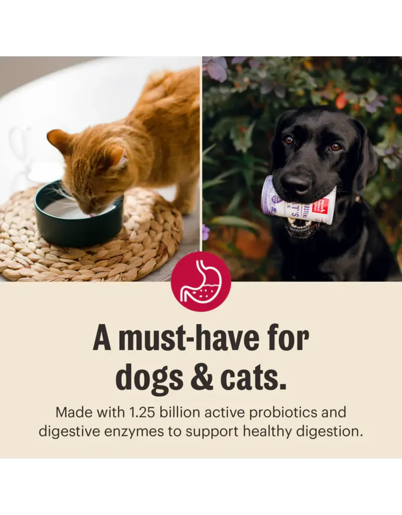 Honest Kitchen Honest Kitchen Instant Goat's Milk with Probiotics