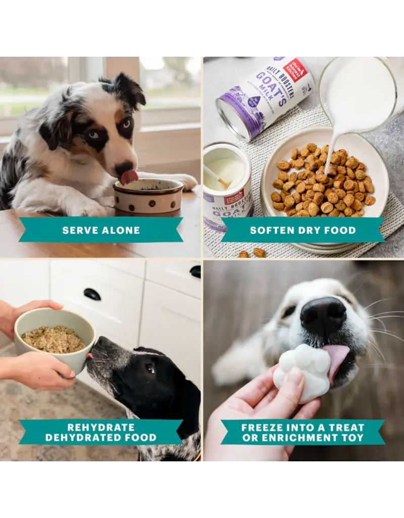 Honest Kitchen Honest Kitchen Instant Goat's Milk with Probiotics