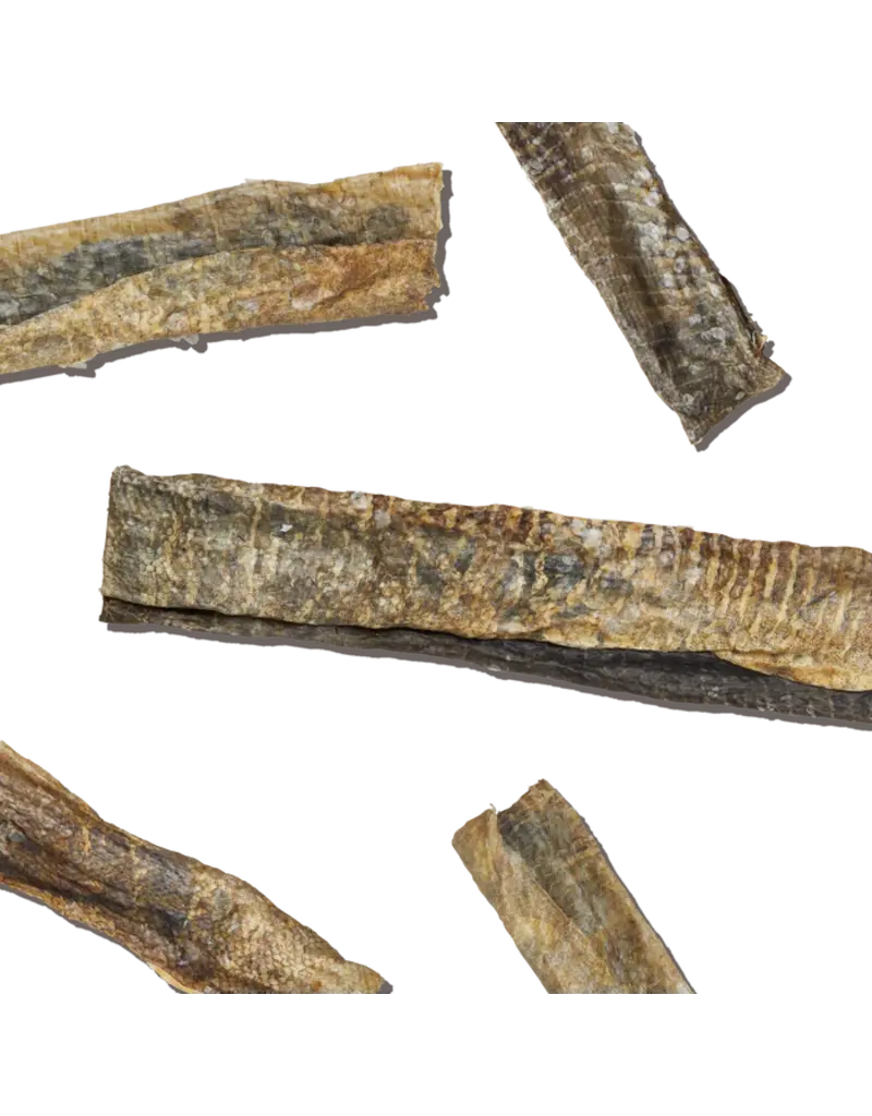 Honest Kitchen Honest Kitchen Ocean Chews Crispy Cod Fish Skins